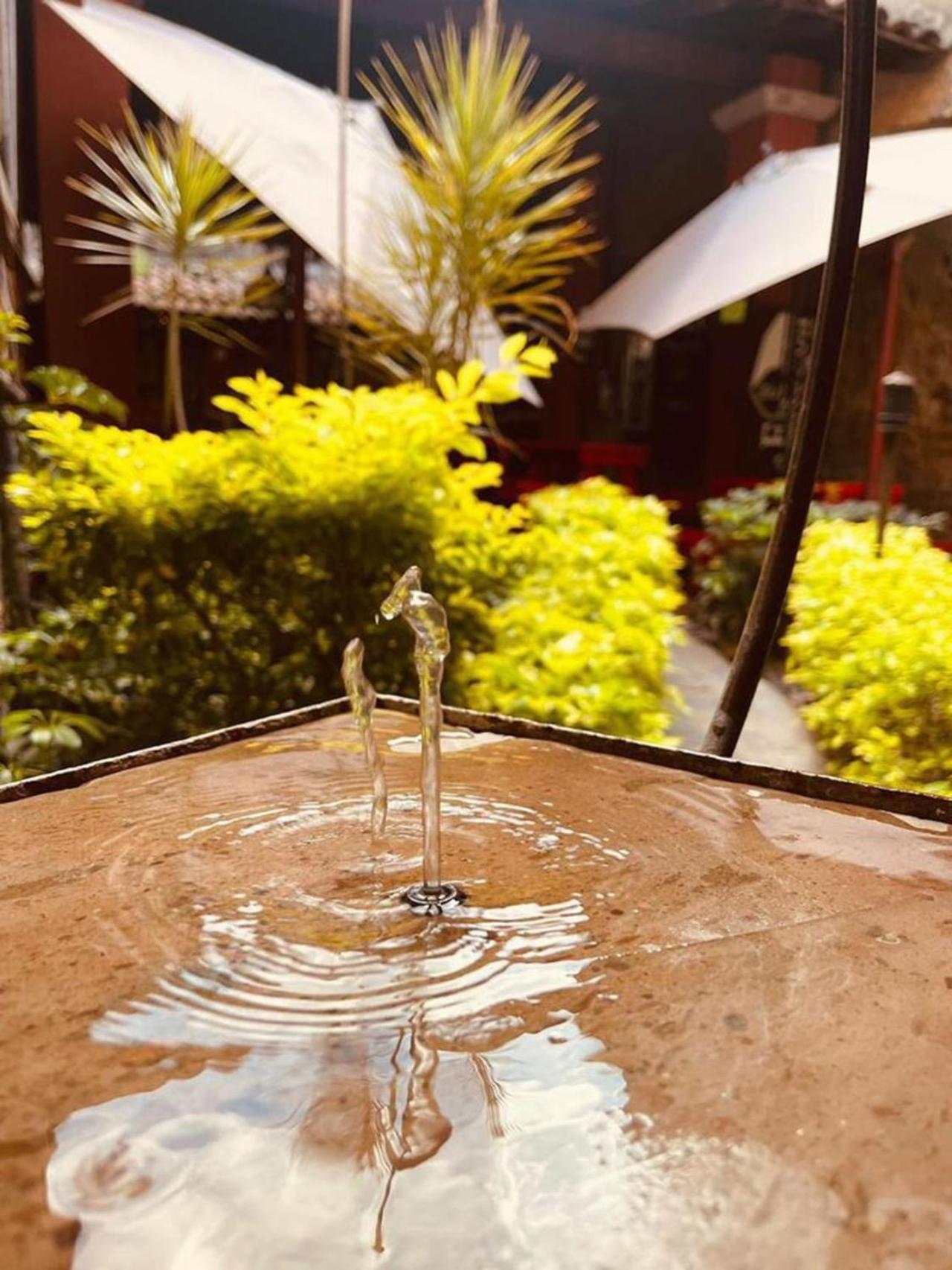 Hotel Boutique Tierra Magica Tequila Εξωτερικό φωτογραφία